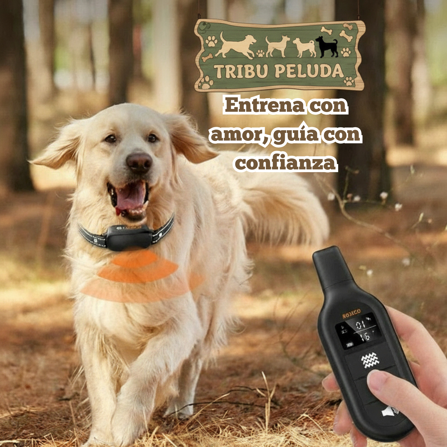 Collar de Adiestramiento Eléctrico para Perros ROJECO PD521 | Control Remoto Digital, Recargable e Impermeable IPX7