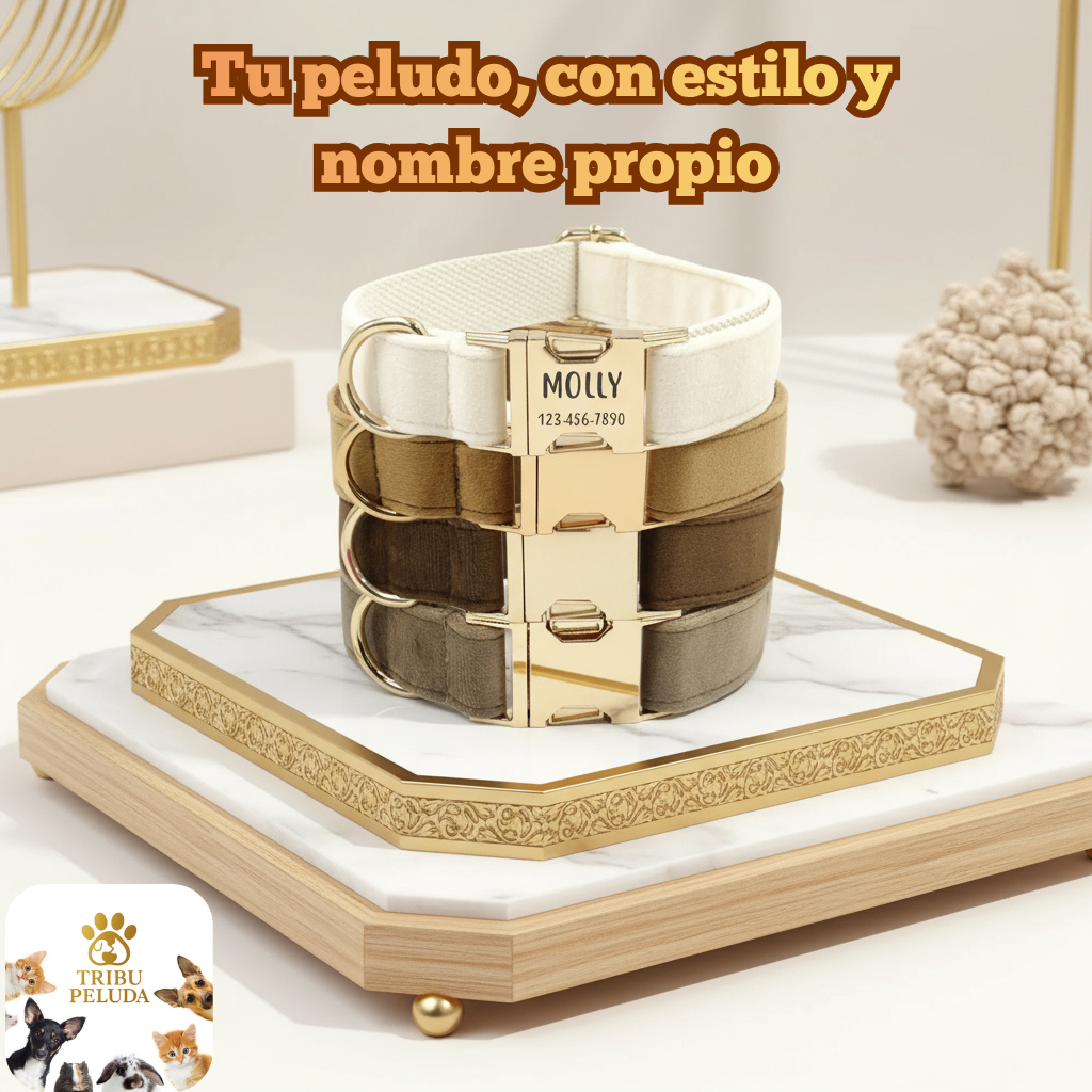 Collar Personalizado de Terciopelo para Perros | Suave, Ajustable y con Placa Grabada con Nombre