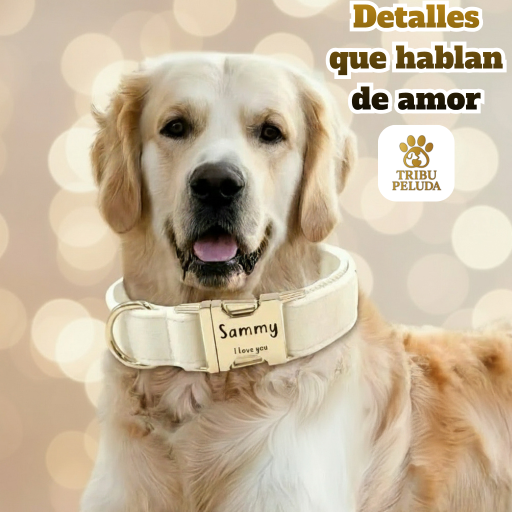 Collar Personalizado de Terciopelo para Perros | Suave, Ajustable y con Placa Grabada con Nombre