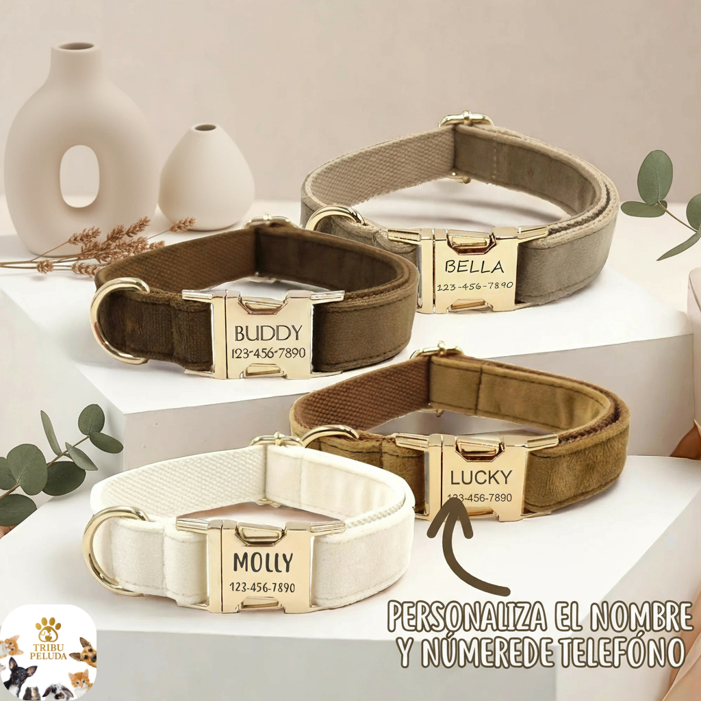 Collar Personalizado de Terciopelo para Perros | Suave, Ajustable y con Placa Grabada con Nombre