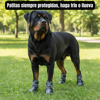 Botas Antideslizantes y Cálidas para Perros | Protección de Patas Impermeable – Tribu Peluda