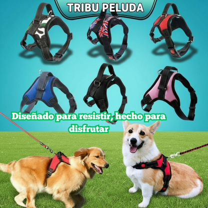 Arnés Ajustable y Resistente para Perros | Reflectante, Cómodo y Seguro para Todo Tamaño – Tribu Peluda