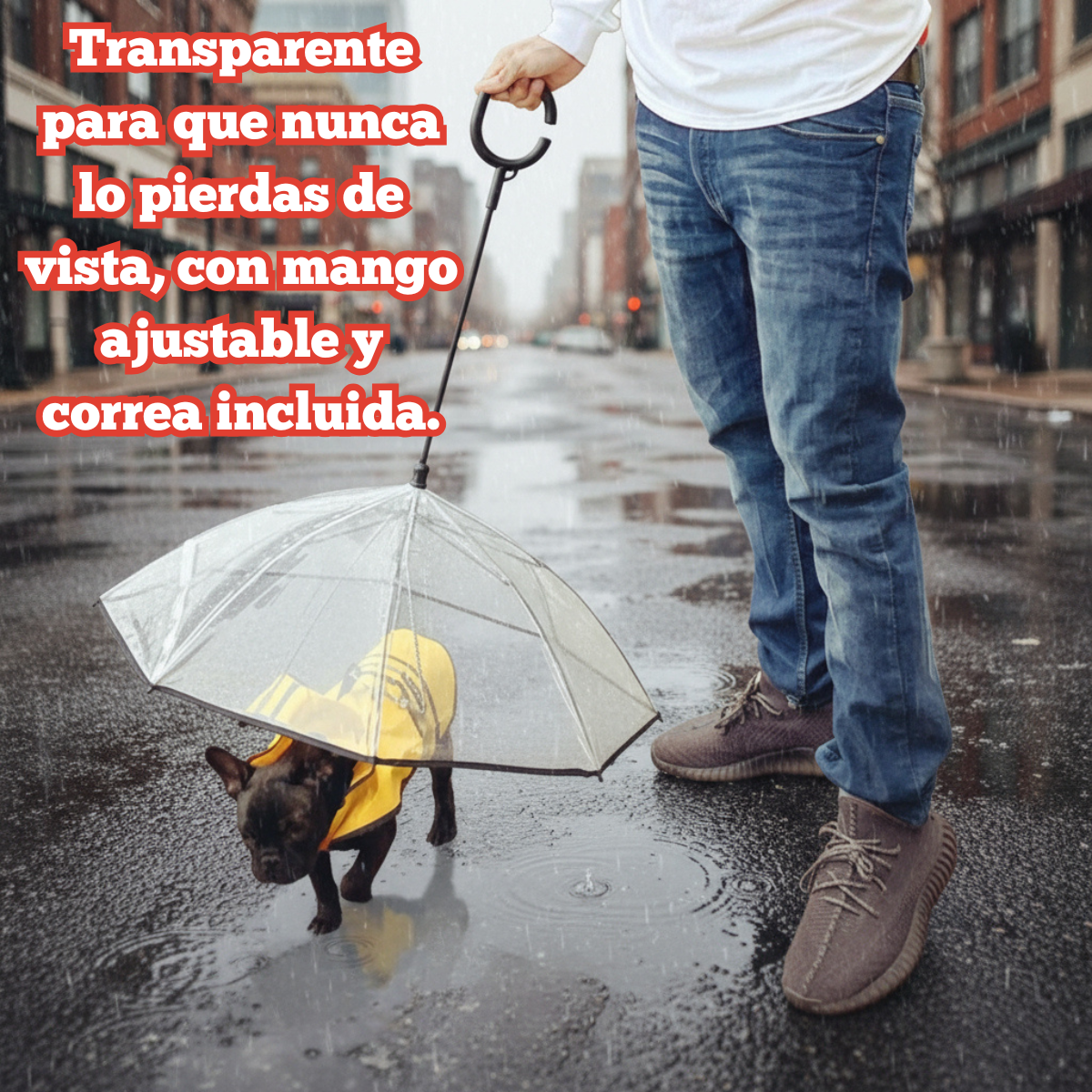 Paraguas para Mascotas Pequeñas | Transparente, con Correa y Mango Ajustable – Tribu Peluda