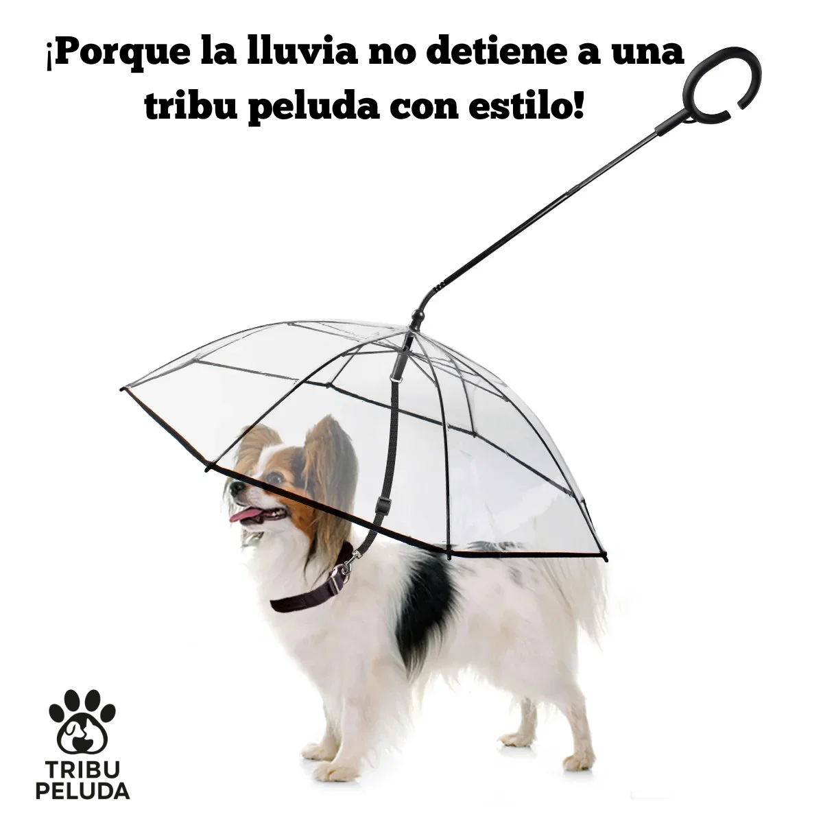 Paraguas para Mascotas Pequeñas | Transparente, con Correa y Mango Ajustable – Tribu Peluda