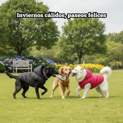 Abrigo de Invierno con Capucha y Felpa Suave con D-Ring para Perros Pequeños y Medianos