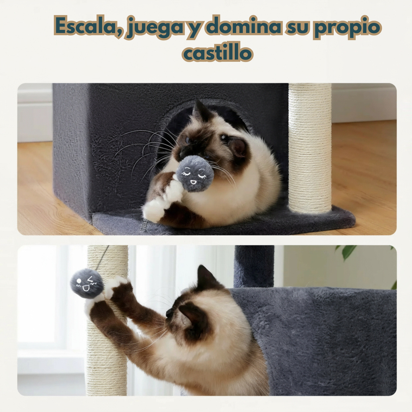 Árbol para Gatos Grandes PAWZ Road | Torre Rascadora con Cuevas, Plataforma y Juguetes Colgantes