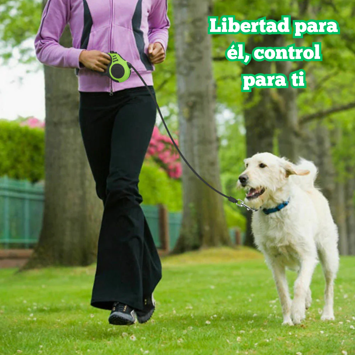 Automatic Retractable Dog Leash - Dual Size Options with Brake &amp; Lock Safety System